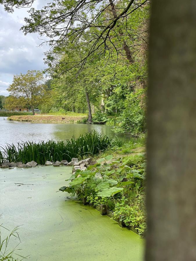 Vakantiehuis Cerise, Luxueus Genieten In De Leiestreek Deinze Exterior foto